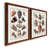 Maple Framed Paper is unavailable