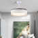 Tasmine 42'' Ceiling Fan with LED Lights