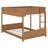 Full XL Over Full XL Wooden Bunk Bed With Built-In Storage Shelf & Ladder-422782843