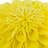  3D Floral Accent Pillow Handmade Flower Throw Pillow Decorative Cushion Cover & Insert-577787607-577787604