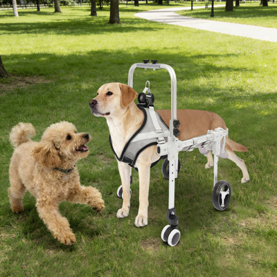 Adjustable Pet Wheelchair for Medium Dogs (22-27.6 lbs), Rear Mobility Aid with EVA Wheels & Comfort Pads