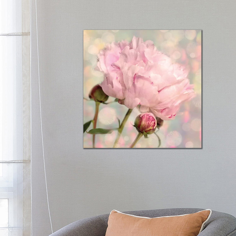 Peony Buds - Wrapped Canvas Painting, 66.04 cm H x 66.04 cm W x 1.91 cm D