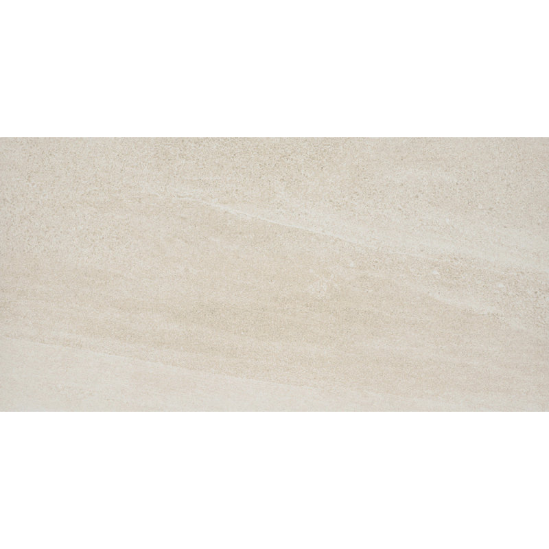 Access II Tour 12 in. x 24 in. Matte Porcelain Floor and Wall Tile (11.63 sq. ft./Case), Path