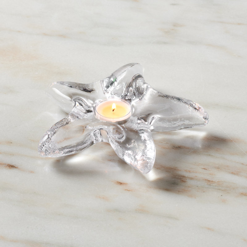 Starfish Tealight