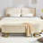 Velvet Upholstered Storage Bench with Horseshoe-Shaped Metal Legs for Living Room: Stylish and Functional Bed-End Solution-591994485