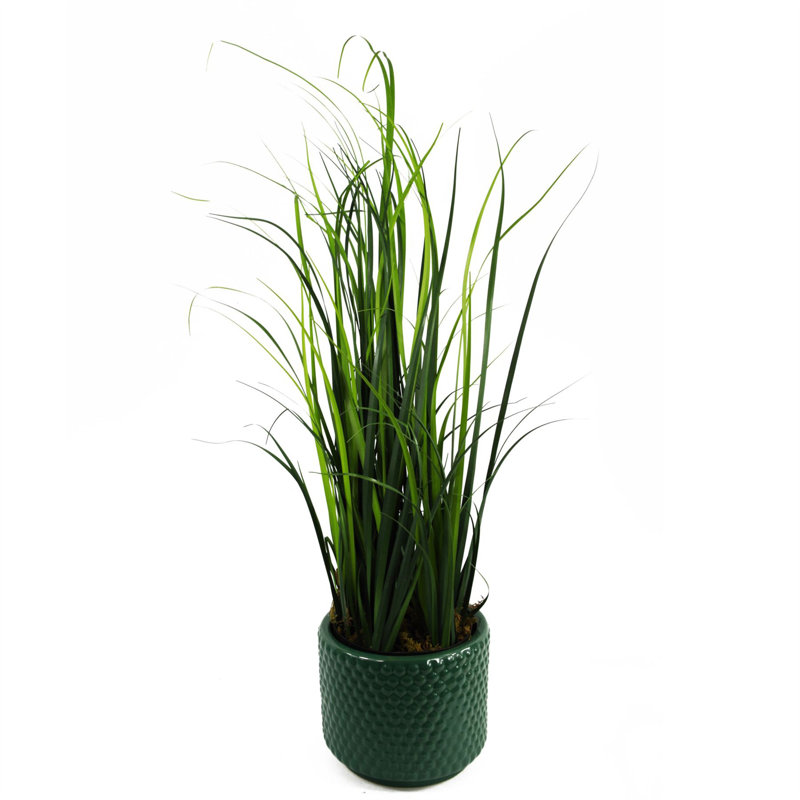 60cm Faux Onion Grass Grass in Ceramic Pot, Green