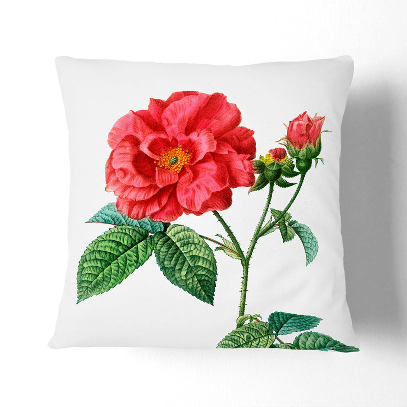 Floral Square Throw Cushion, 55cm H x 55cm W x 20cm D