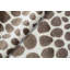 Animal Print Area Rug