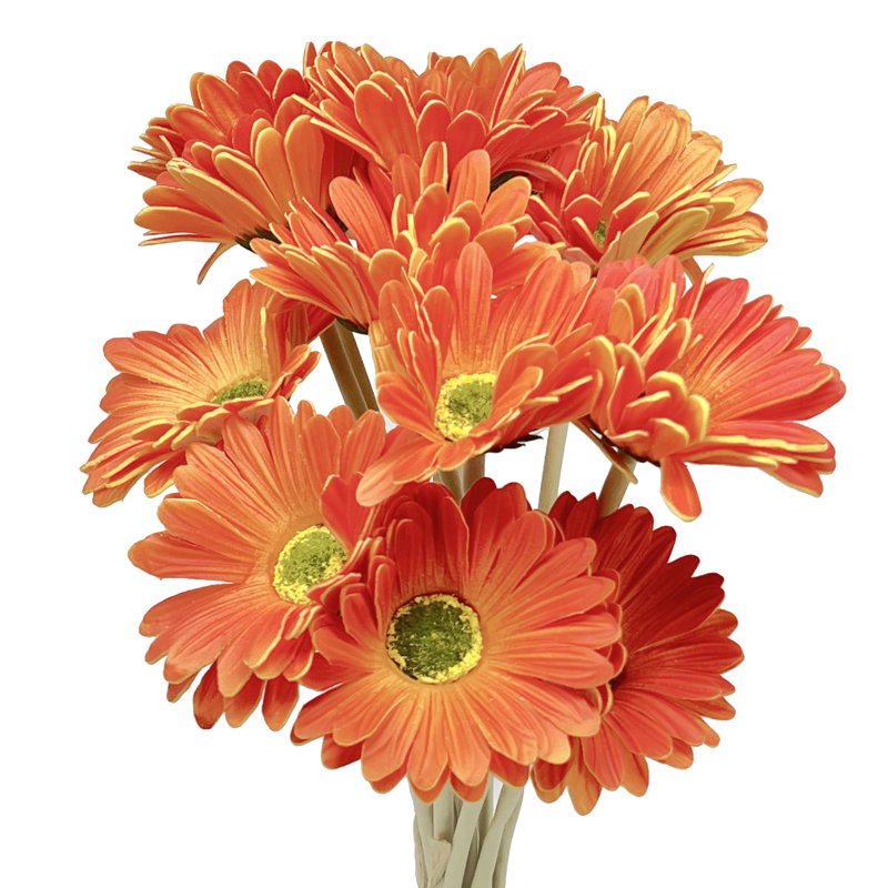Polyether Polyurethane (PU) Daisy Arrangement, Orange