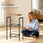 Free Standing Toilet Paper Holder