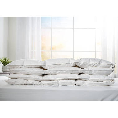 Martha Stewart Medium Firm 2-Pack Feather Euro Pillow Inserts, White