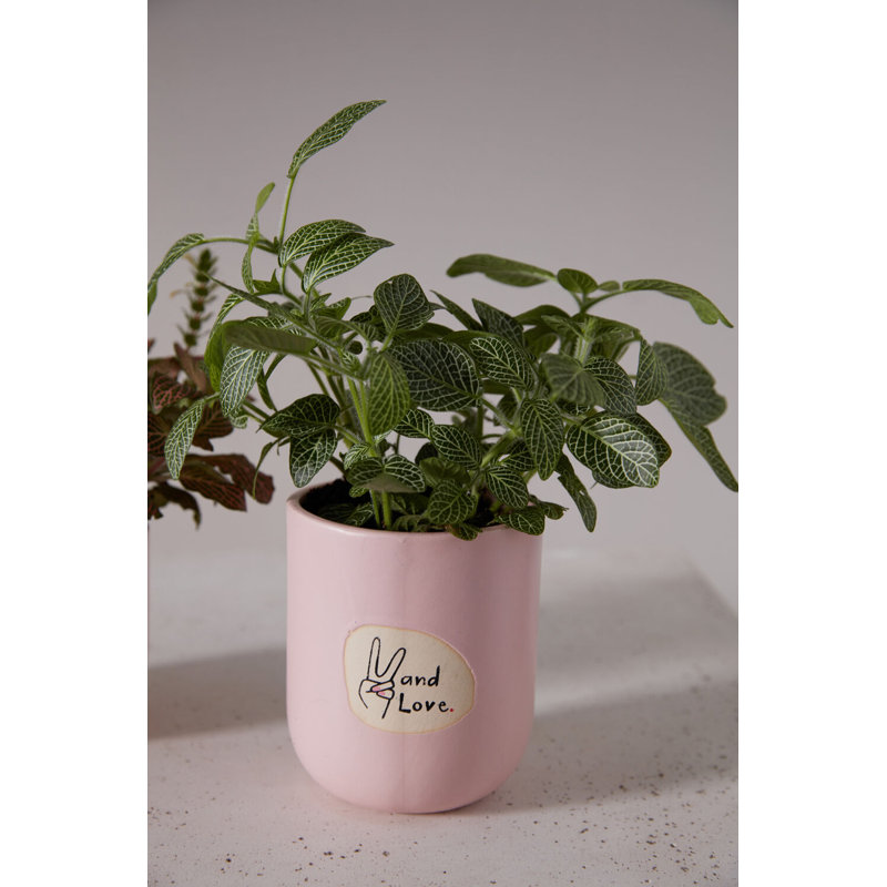 Peace and Love Pot , H 4,75 po x l 4 po x P 4 po