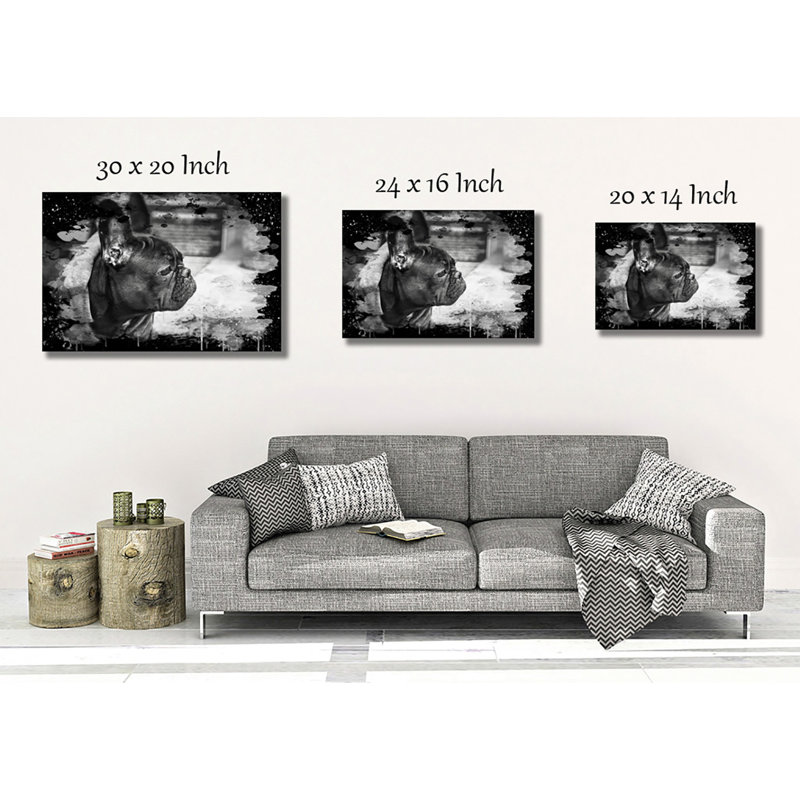 Black French Bulldog - Wrapped Canvas, 50cm H x 76cm W