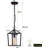 12.5'' Hardwired Outdoor Hanging Light