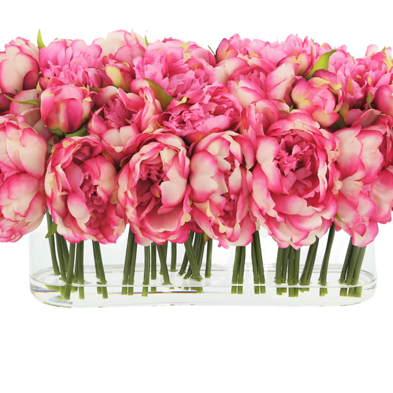 Peonies Arranged in a Glass Vase, Pink