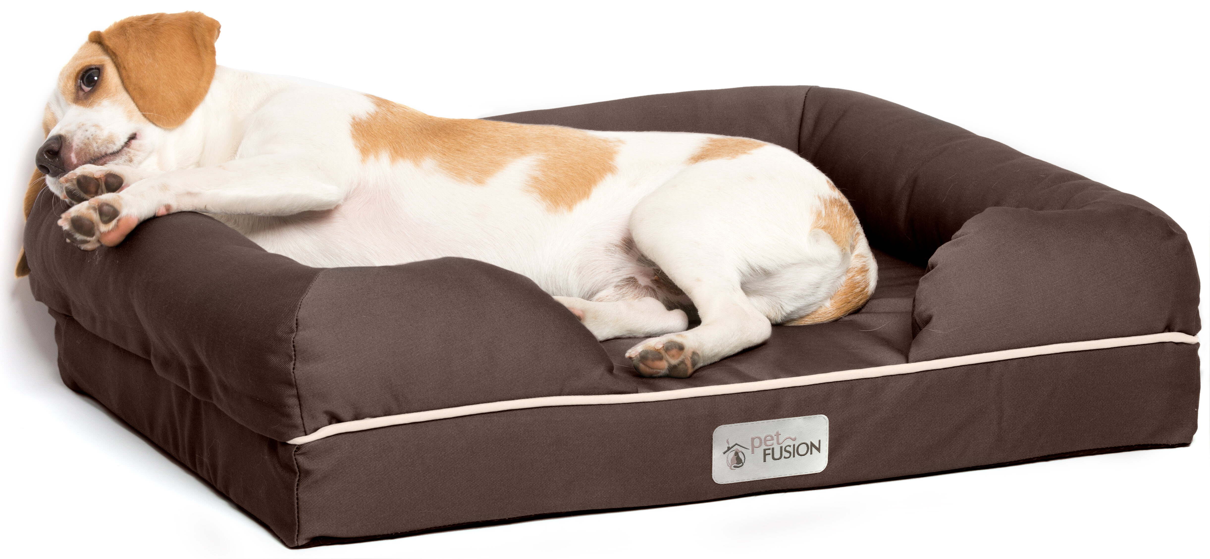 Wayfair  Wicker Dog Beds You'll Love in 2024