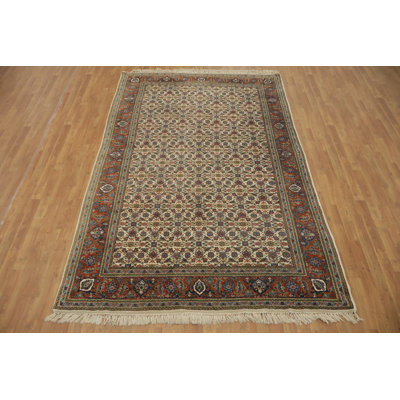 Traditional Area Rug 6x10