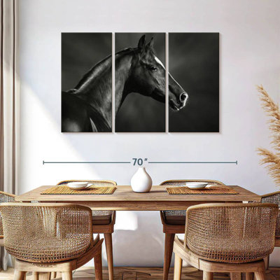 Cheval arabe Brampt noir