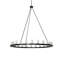 24 - Light Chandelier