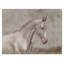 Portrait d'un cheval blanc au galop III - reproduction sur toile-67236110-67236111