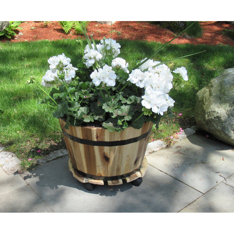 Pot de fleurs en baril Bathily, H 11 po x l 18 po x p 18 po, Naturel