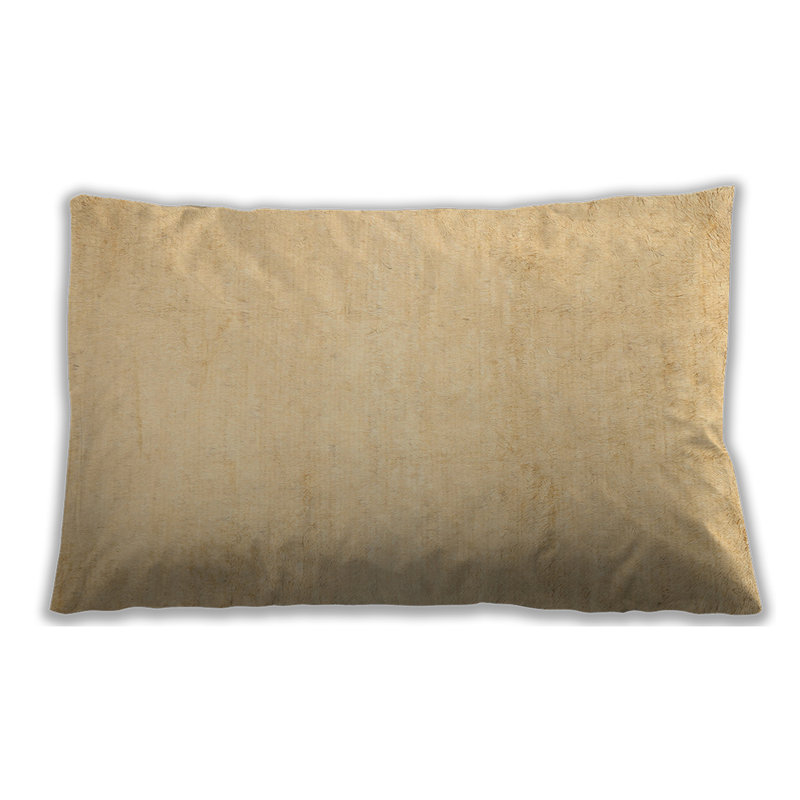  Rectangular Pillow Cover & Insert