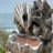 20'' Ocean-Themed Outdoor Fountain With LED Lights & 3W ETL Pump – Shell & Starfish Design