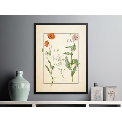 Avalos Print