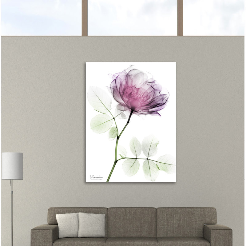 «Rose Dynasty 1», toile tendue par Albert Koetsier, H 32 po x l 24 po x P 1,5 po