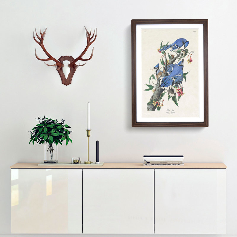 Blue Jay Birds by John Audubon - Picture Frame Graphic Art Print, 36cm H x 27cm W x 2cm D, Walnut Framed
