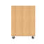 Armoire de salle de classe à 5 compartiments avec roulettes-1882572989
