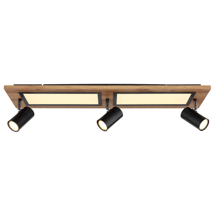 Ceiling light_Charemon