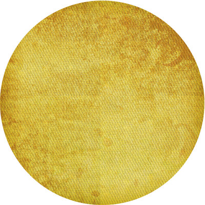Performance Wool Indoor Rug