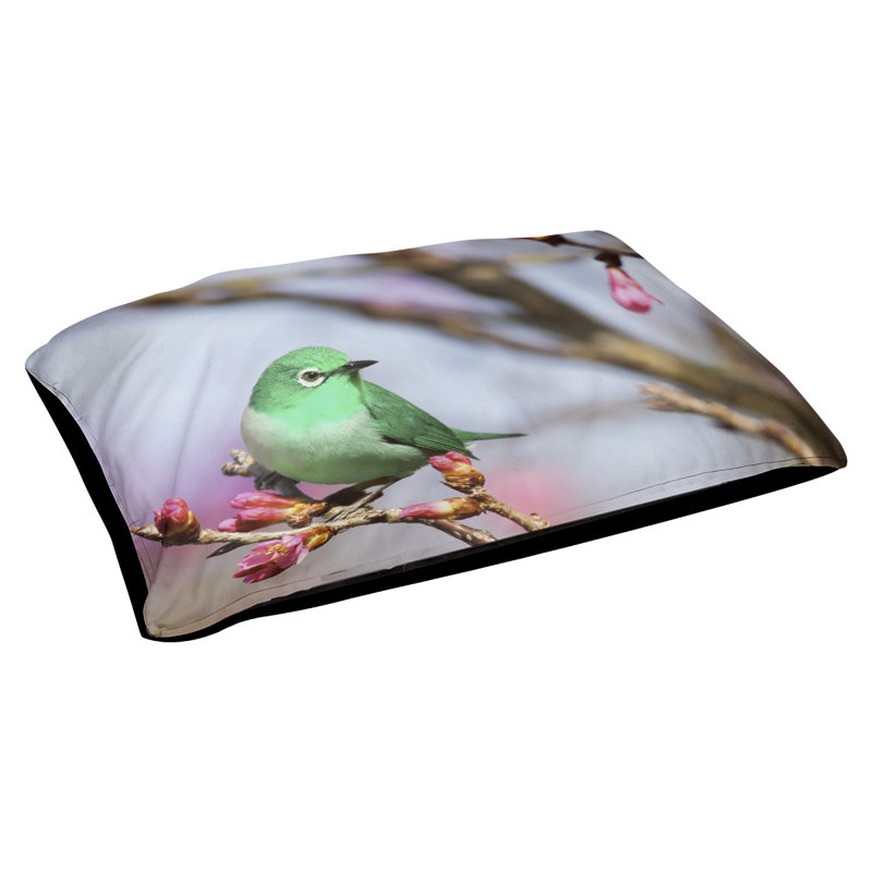 Coussin stylisé oiseau Burien, L 42 po x l 52 po, Noir