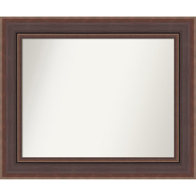 Moab Brown Bronze Non-Beveled Framed Wall Mirror