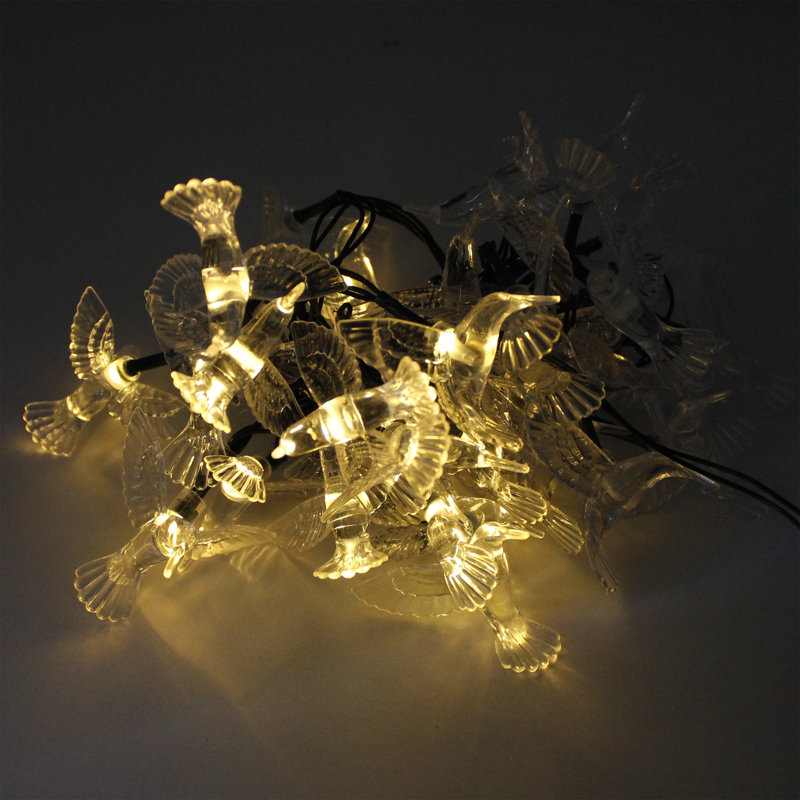 Eisele Indoor 30 - Bulb 256'' Solar Powered LED String Light
