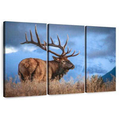 Majestic Bull Elk