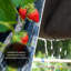 Adrionna Shade Cloth and Cover-1756540910