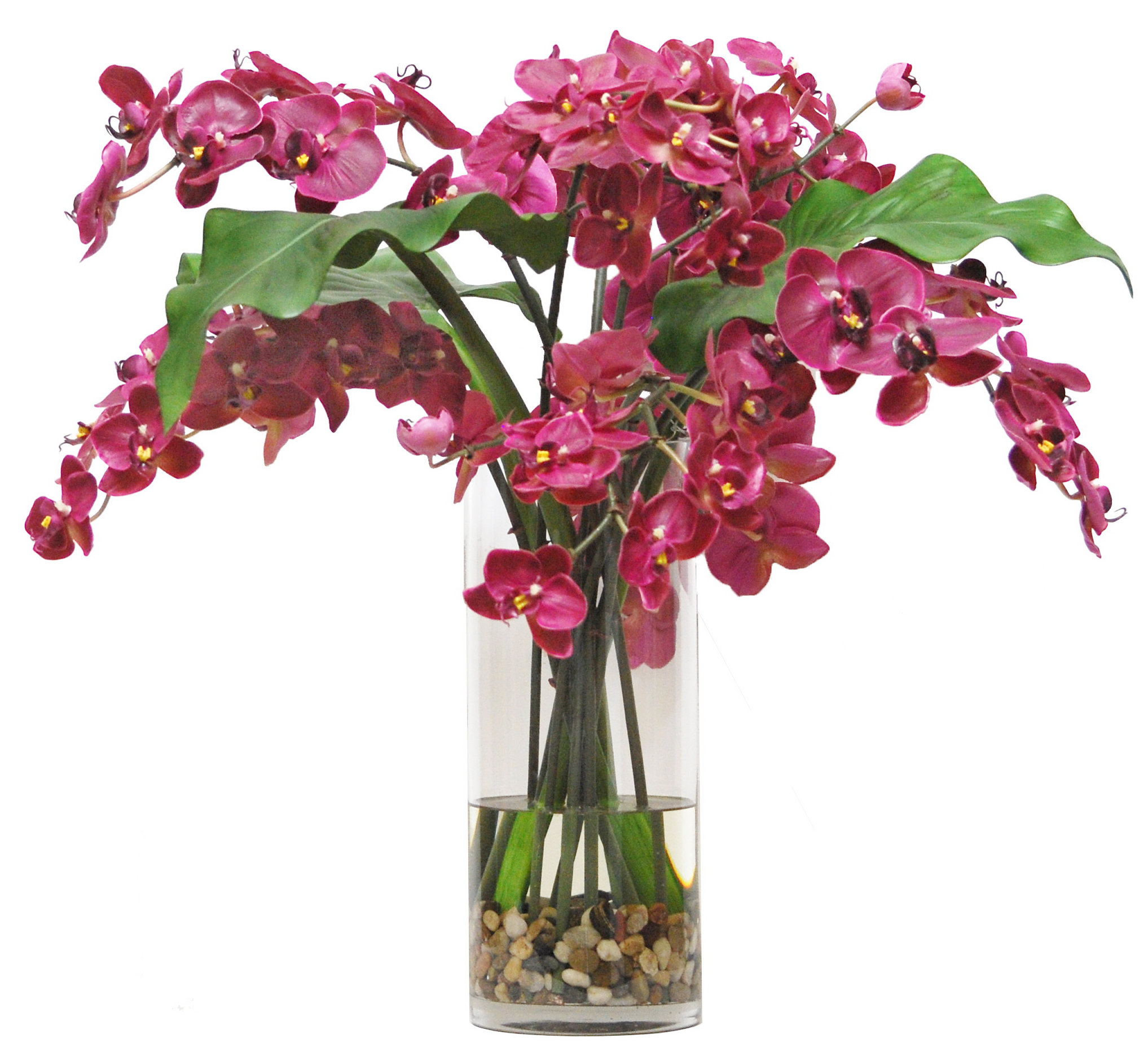 Winward Silks Orchids Arrangement Wayfair Canada