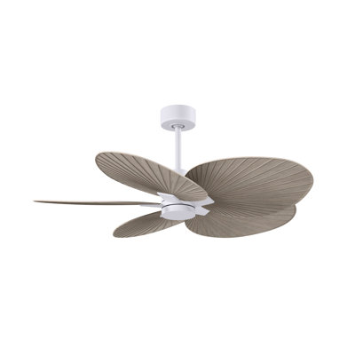 Alessandra Tropical - Five Blade Ceiling Fan - Matte White Finish - Matte White Blades