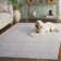 Tapis oriental Kinde Performance