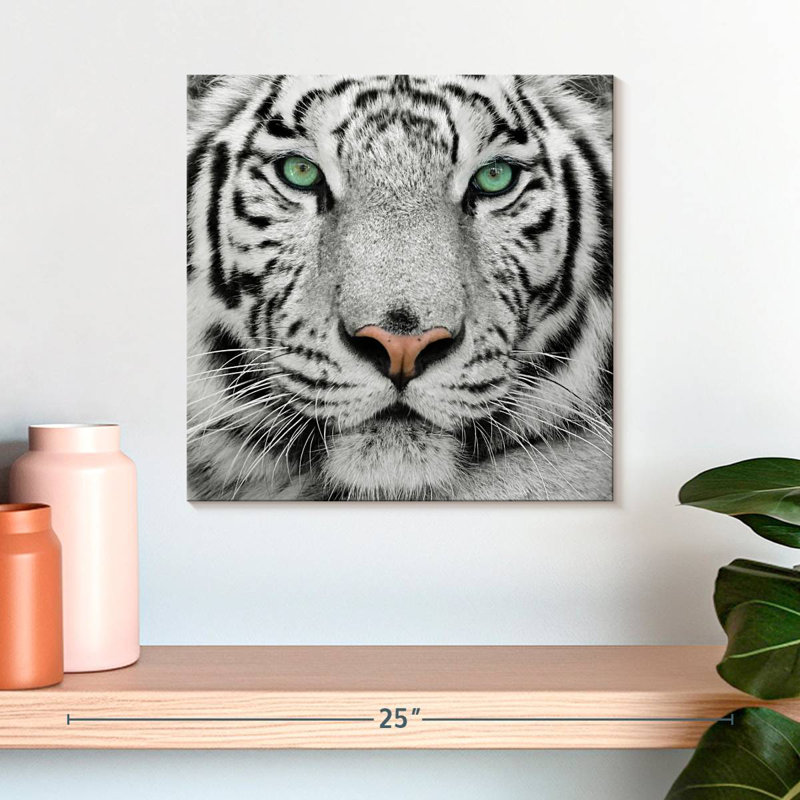 Tigre blanc aux yeux verts Brampt, H 16 po x l 16 po