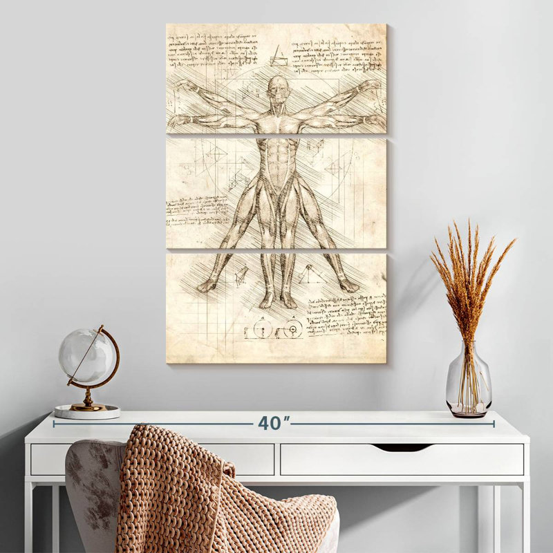 Vitruvian Man