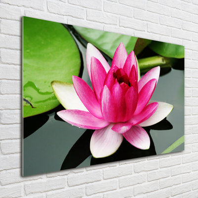 Water Lily - No Frame Print on Glass