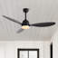 Ventilateur de plafond 52 po à 3 pales DEL avec télécommande et ensemble d'éclairage inclus Clarra-2046170366