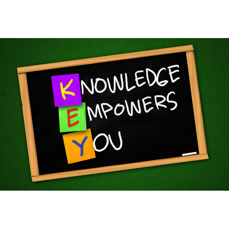 Knowledge Empowers You - Wrapped Canvas Print, 61cm H x 91cm W x 3.8cm D
