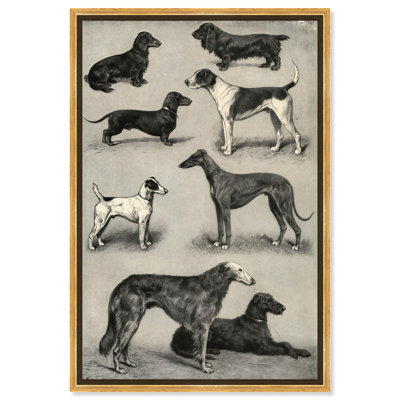 Generations of Dogs I Canvas Animal Line Art by Art Remedy