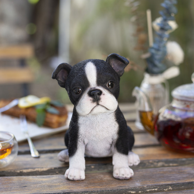 Boston Terrier | Handpainted Decorative Puppy Statue for Home & Garden Decor | Premium Polyresin Dog Statue | Gift for Dog Lovers | Weather-Resistant Indoor/Outdoor Decor