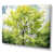 Wrapped Canvas