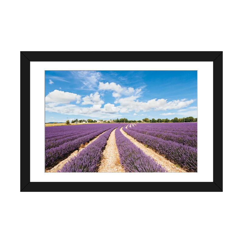 «Lavender Field in Summer, Provence, France», reproduction de photo sur toile tendue, H 24 po x l 32 po x P 1 po, Blanc